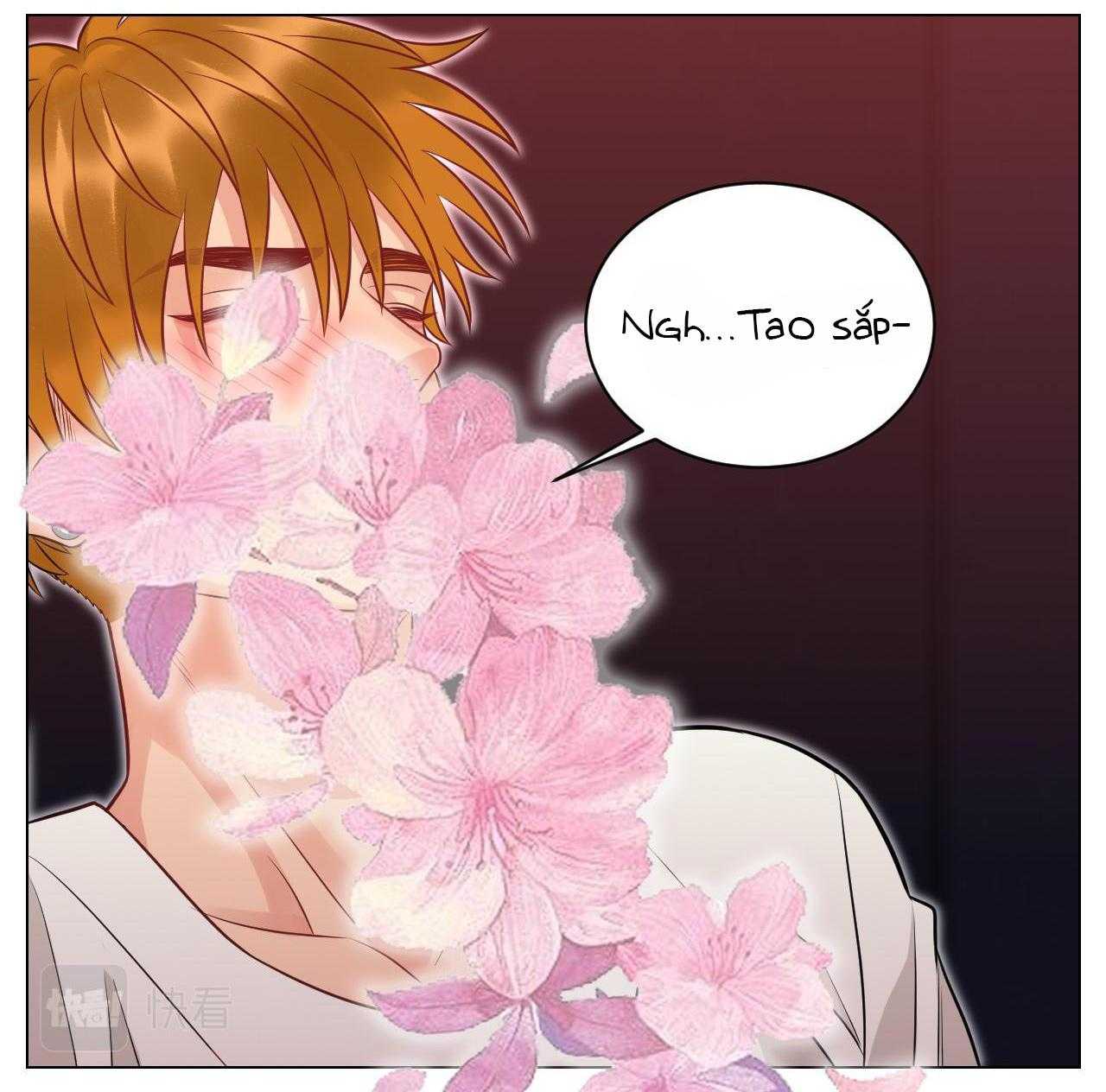 Ký Túc Xá Nam Phòng 303 Chapter 232 - Trang 2