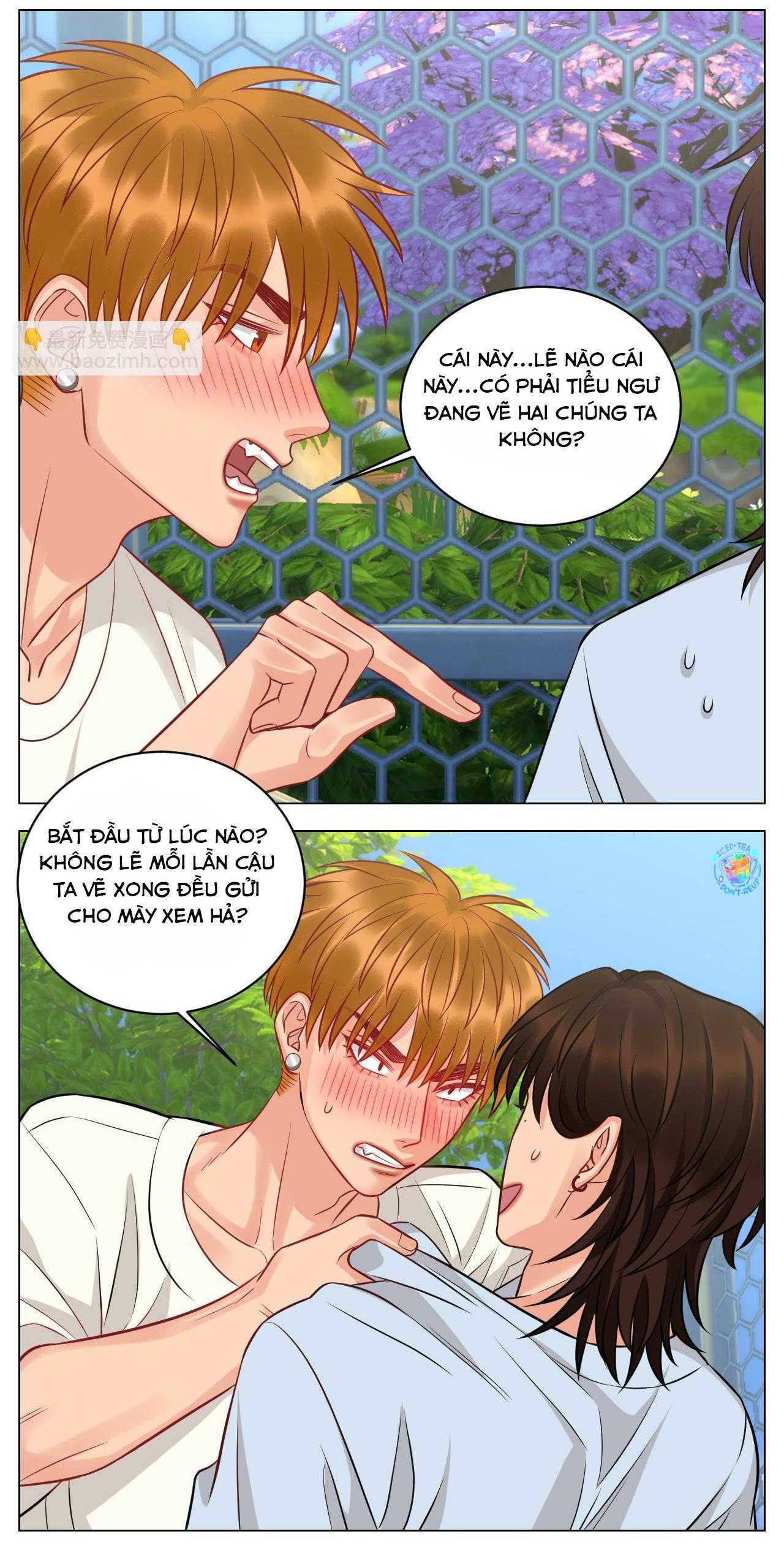 Ký Túc Xá Nam Phòng 303 Chapter 232 - Trang 2