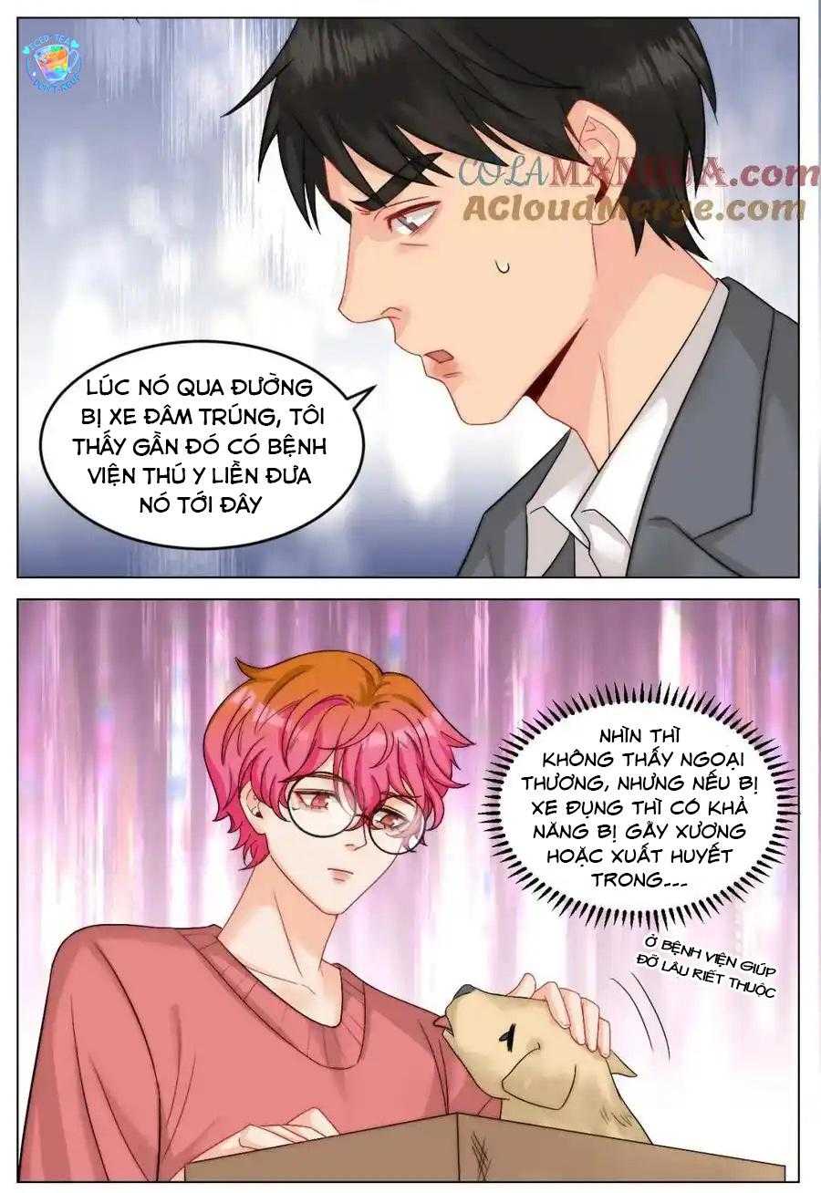 Ký Túc Xá Nam Phòng 303 Chapter 245 - Trang 2
