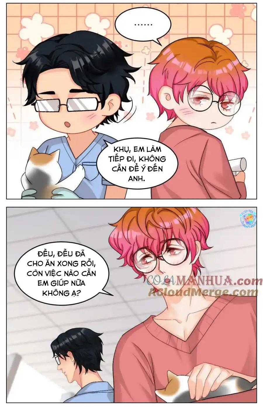 Ký Túc Xá Nam Phòng 303 Chapter 245 - Trang 2