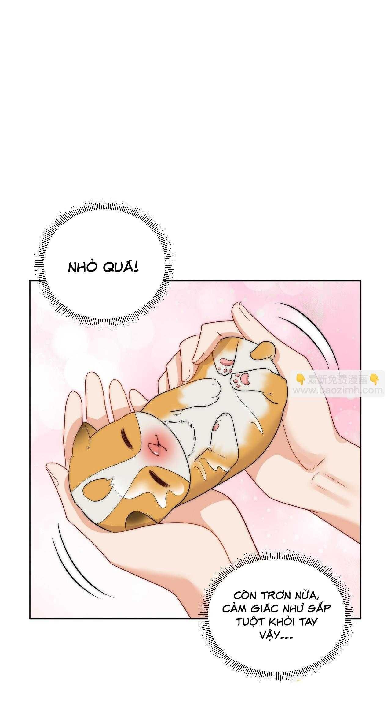 Ký Túc Xá Nam Phòng 303 Chapter 255 - Trang 2