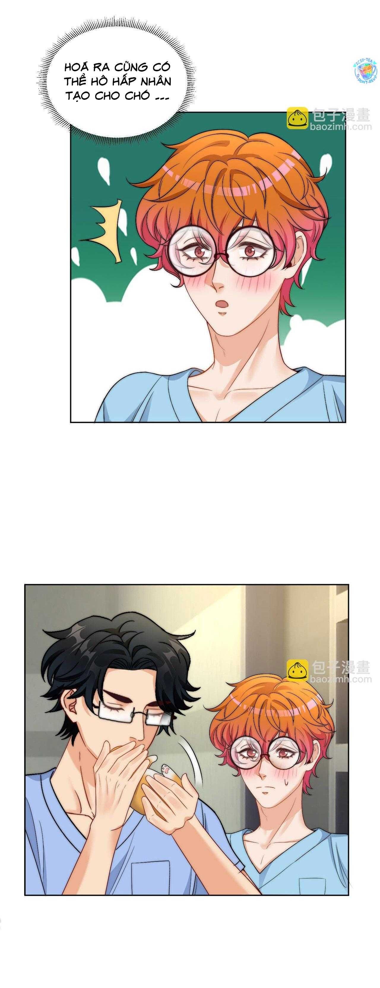 Ký Túc Xá Nam Phòng 303 Chapter 255 - Trang 2