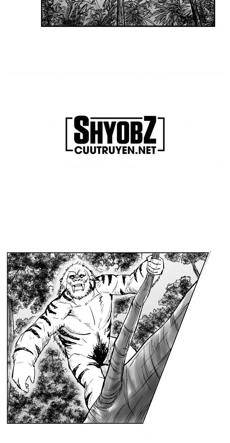 Cơn Bão Đỏ Chapter 290 - Trang 2