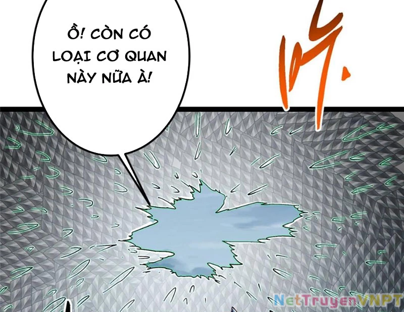 Chưởng Môn Khiêm  Tốn Chút Chapter 489 - Trang 2