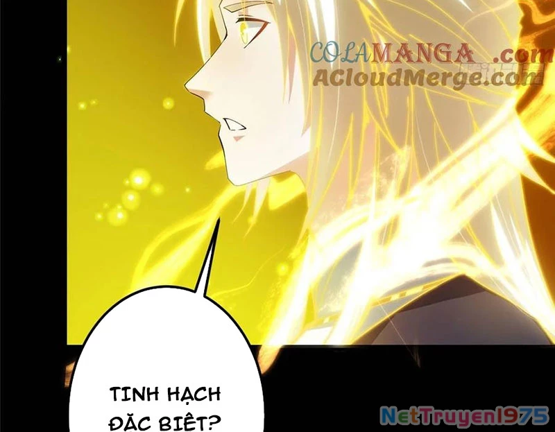 Chưởng Môn Khiêm  Tốn Chút Chapter 498 - Trang 2