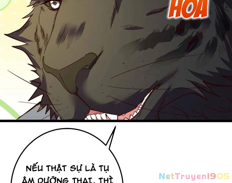 Chưởng Môn Khiêm  Tốn Chút Chapter 522 - Trang 2