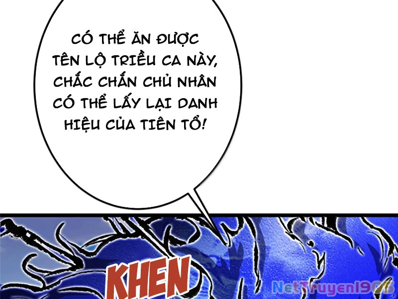 Chưởng Môn Khiêm  Tốn Chút Chapter 531 - Trang 2