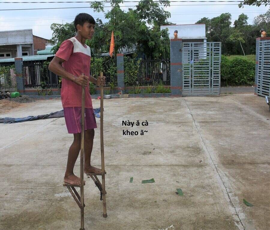 Hổ Đến Chơi Nhà Chapter 117 - Trang 2