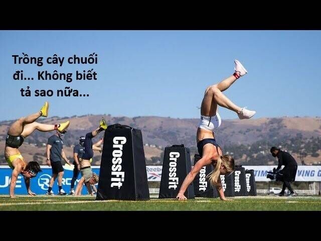 Hổ Đến Chơi Nhà Chapter 117 - Trang 2