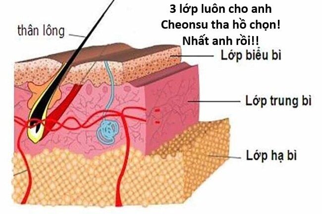 Hổ Đến Chơi Nhà Chapter 121 - Trang 2