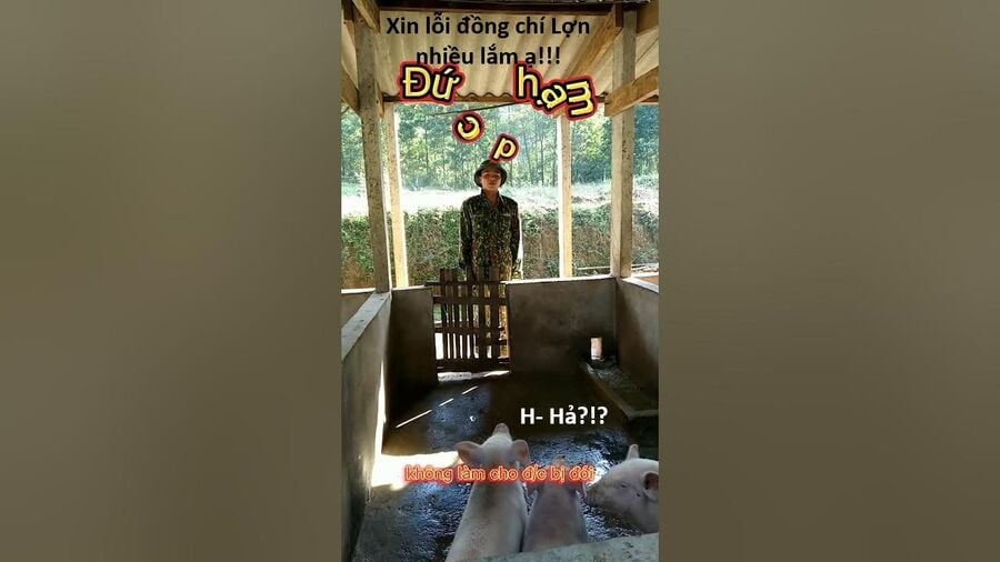 Hổ Đến Chơi Nhà Chapter 126 - Trang 2
