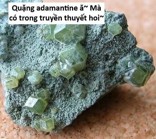 Hổ Đến Chơi Nhà Chapter 141 - Trang 2