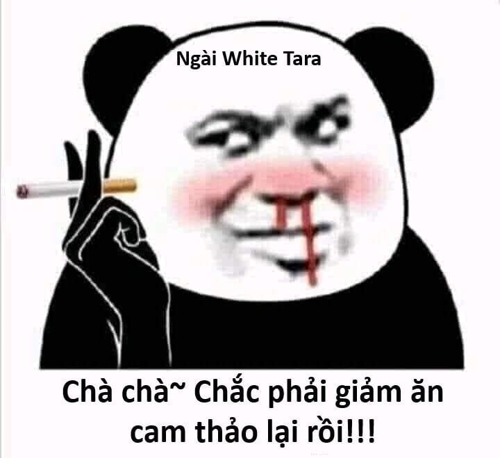 Hổ Đến Chơi Nhà Chapter 143 - Trang 2