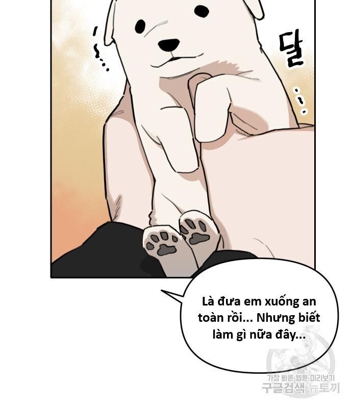 Hổ Đến Chơi Nhà Chapter 146 - Trang 2