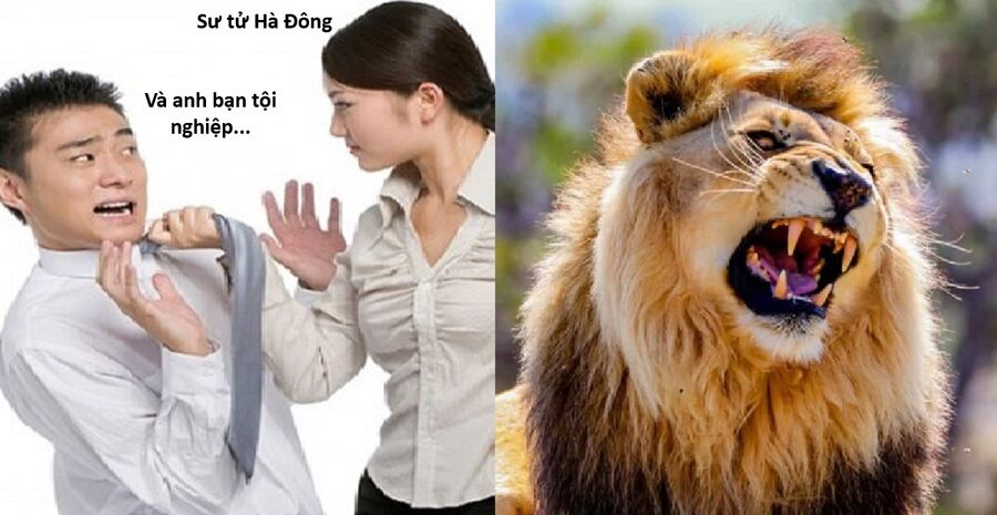 Hổ Đến Chơi Nhà Chapter 152 - Trang 2