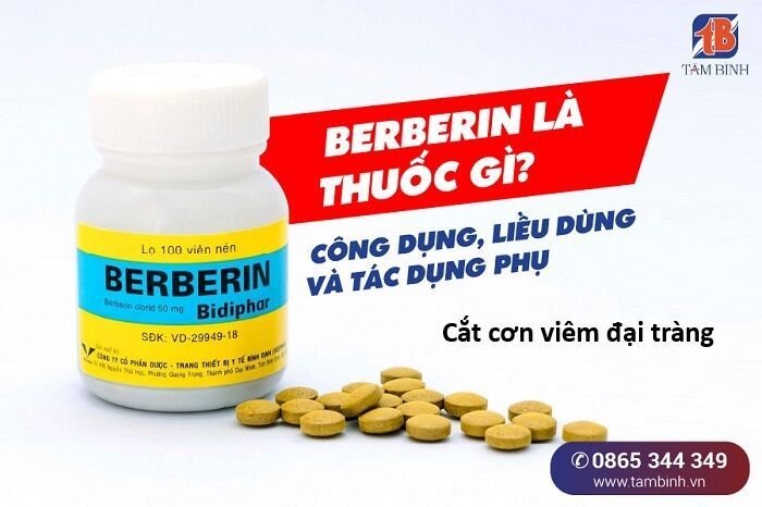 Hổ Đến Chơi Nhà Chapter 153 - Trang 2