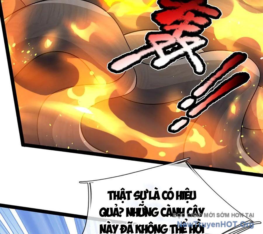 Bị Giam Cầm Trăm Vạn Năm Đệ Tử Ta Trải Khắp Chư Thiên Thần Giới Chapter 385 - Trang 2