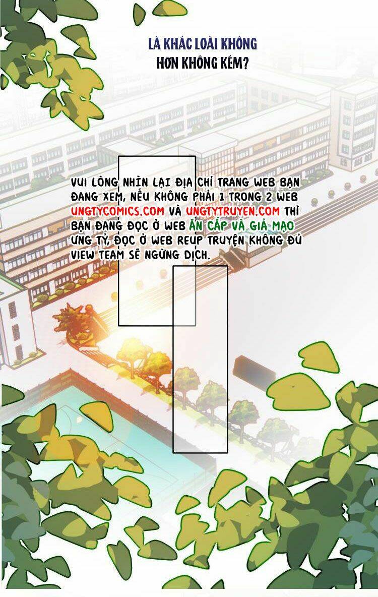Tôi Phải Làm Một Kẻ Đại Xấu Xa Chapter 33 - Trang 2