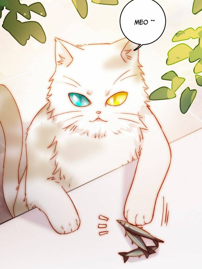 Tôi Phải Làm Một Kẻ Đại Xấu Xa Chapter 69 - Trang 2