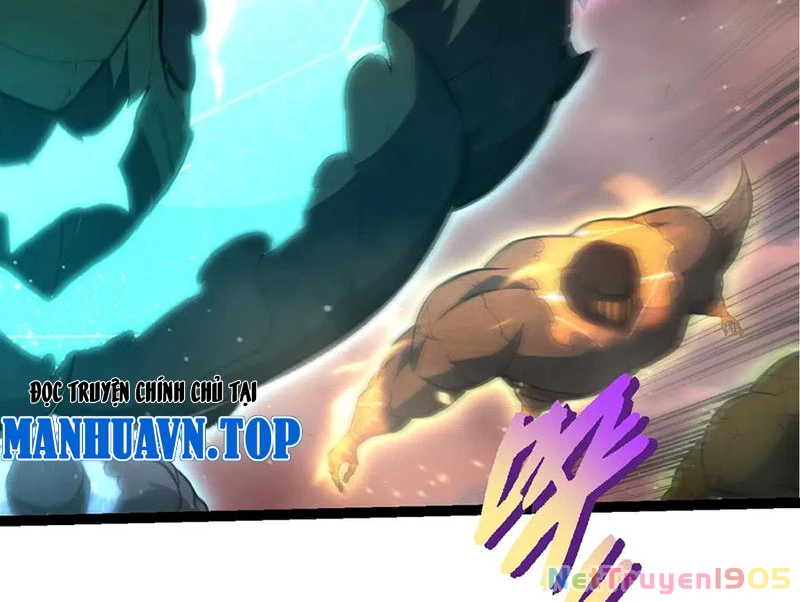 Chuyển Sinh Thành Liễu Đột Biến Chapter 403 - Trang 2