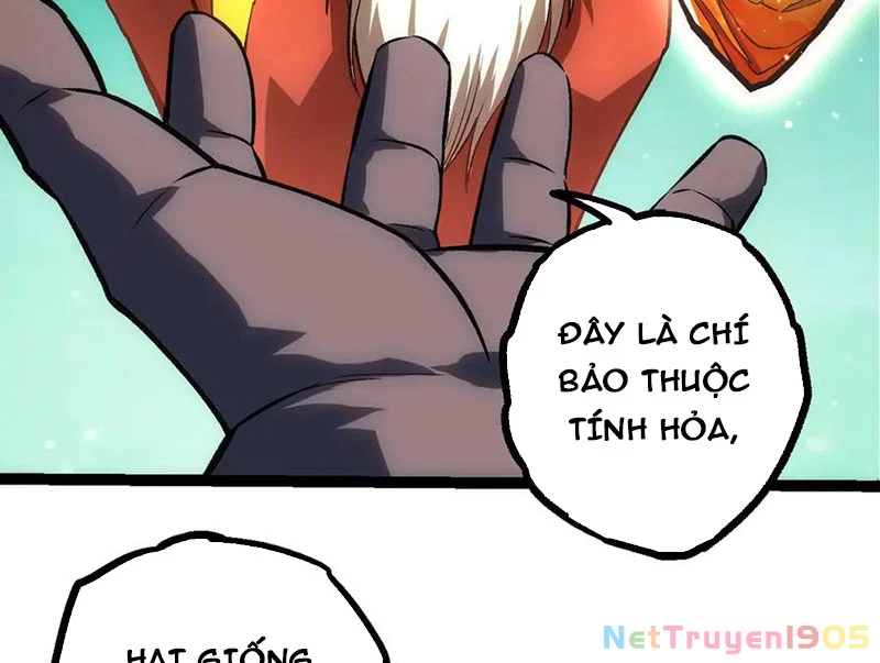 Chuyển Sinh Thành Liễu Đột Biến Chapter 404 - Trang 2