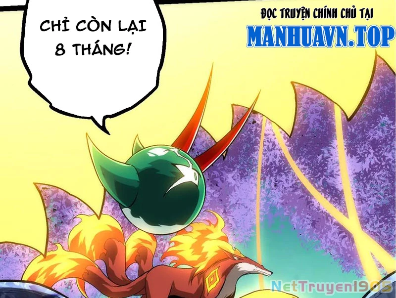 Chuyển Sinh Thành Liễu Đột Biến Chapter 404 - Trang 2