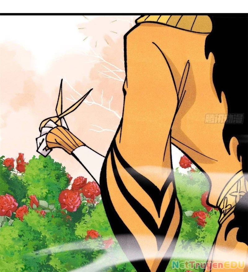 Vạn Cổ Tối Cường Tông Chapter 398 - Trang 2