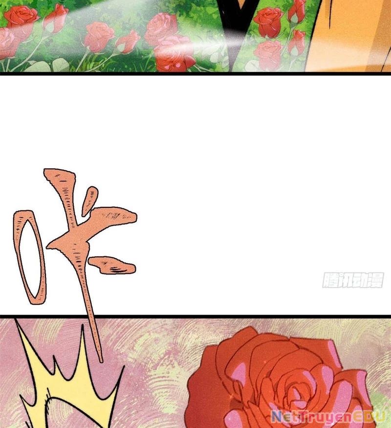 Vạn Cổ Tối Cường Tông Chapter 398.1 - Trang 2