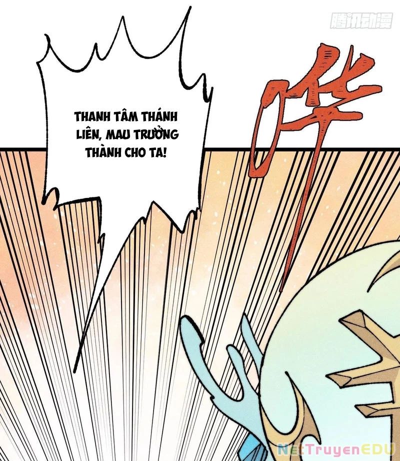 Vạn Cổ Tối Cường Tông Chapter 399.1 - Trang 2