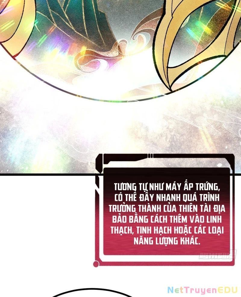 Vạn Cổ Tối Cường Tông Chapter 399.2 - Trang 2