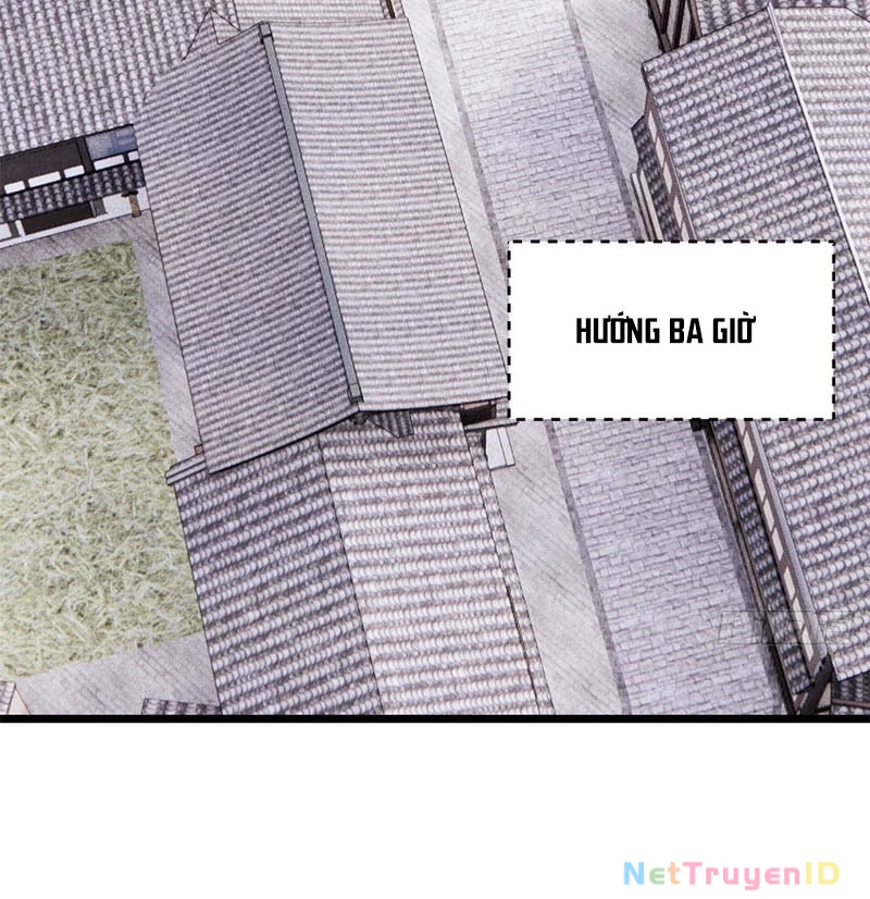 Vạn Cổ Tối Cường Tông Chapter 401 - Trang 2