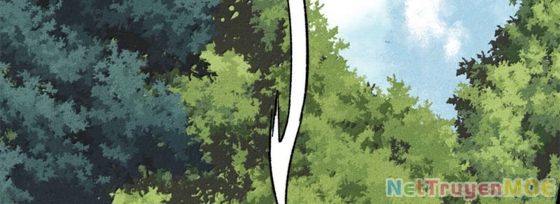 Vạn Cổ Tối Cường Tông Chapter 405 - Trang 2