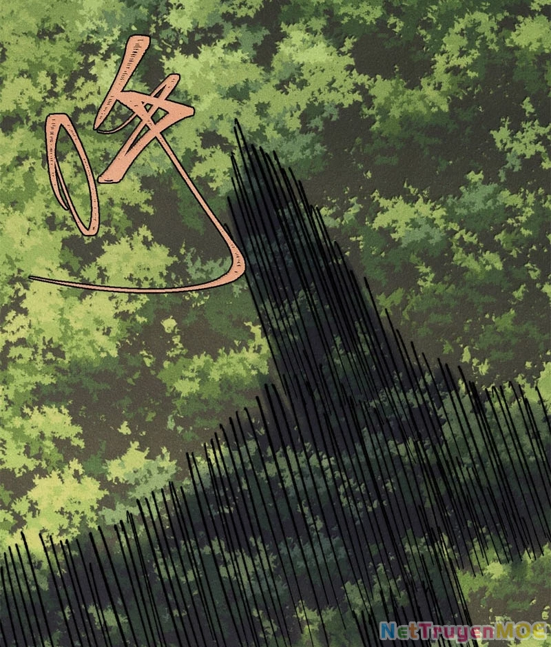 Vạn Cổ Tối Cường Tông Chapter 405 - Trang 2