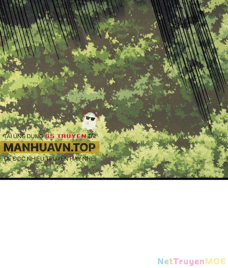 Vạn Cổ Tối Cường Tông Chapter 405 - Trang 2