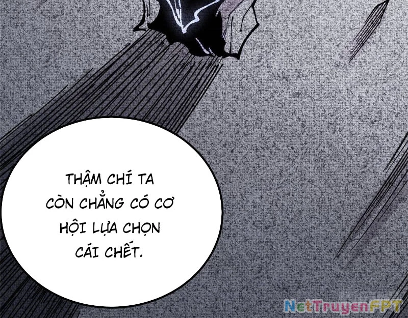 Vạn Cổ Tối Cường Tông Chapter 411 - Trang 2