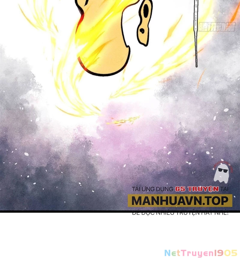 Vạn Cổ Tối Cường Tông Chapter 438 - Trang 2