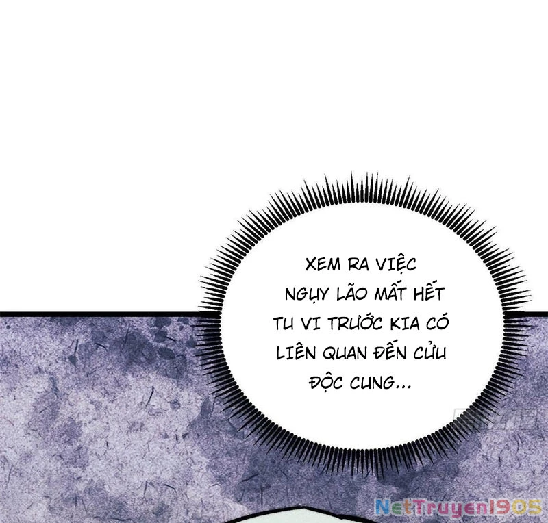 Vạn Cổ Tối Cường Tông Chapter 442 - Trang 2