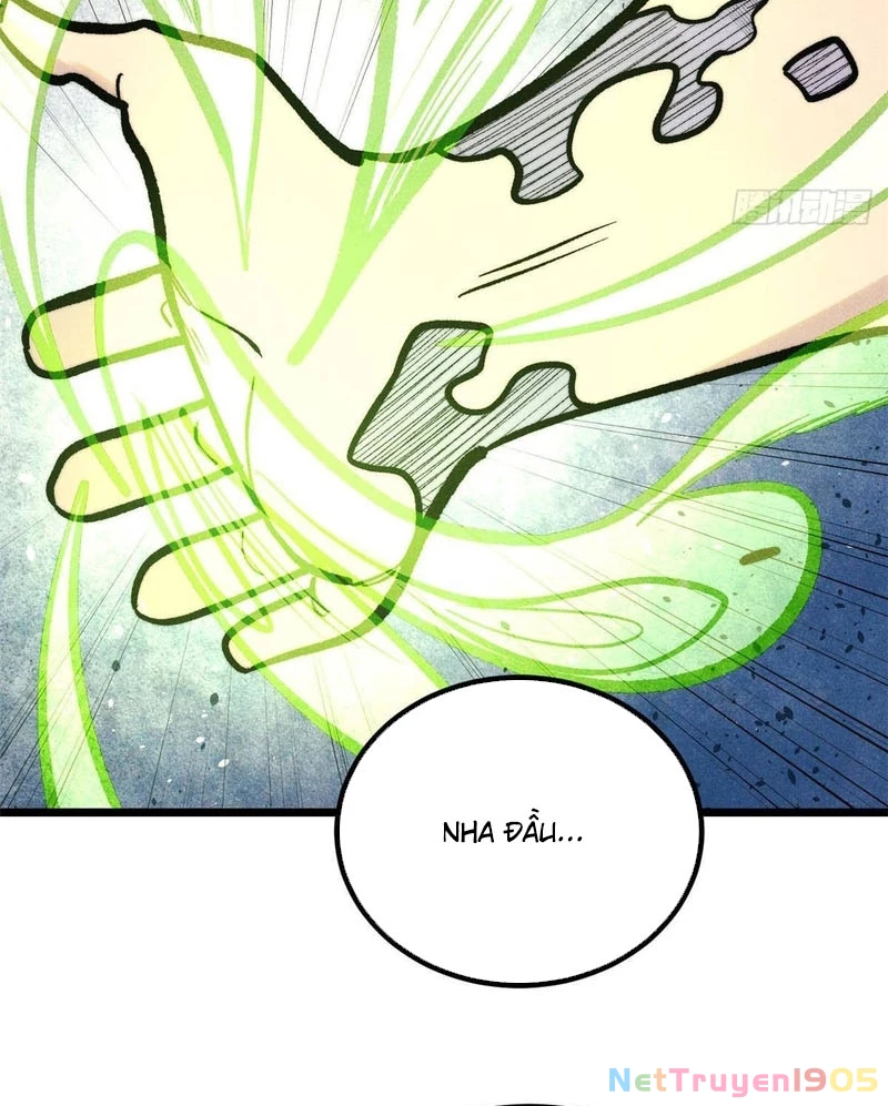 Vạn Cổ Tối Cường Tông Chapter 442 - Trang 2