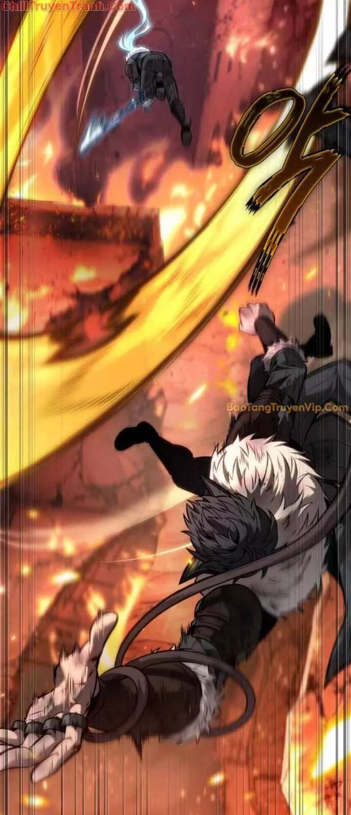 Mạo Hiểm Giả Cuối Cùng Chapter 63 - Trang 2