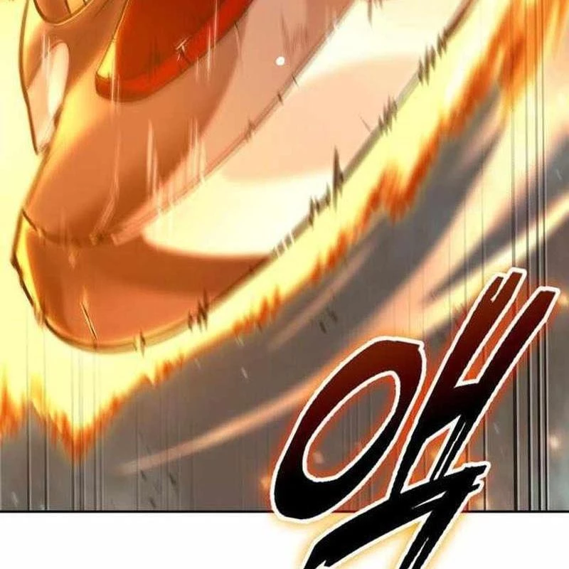 Mạo Hiểm Giả Cuối Cùng Chapter 66 - Trang 2