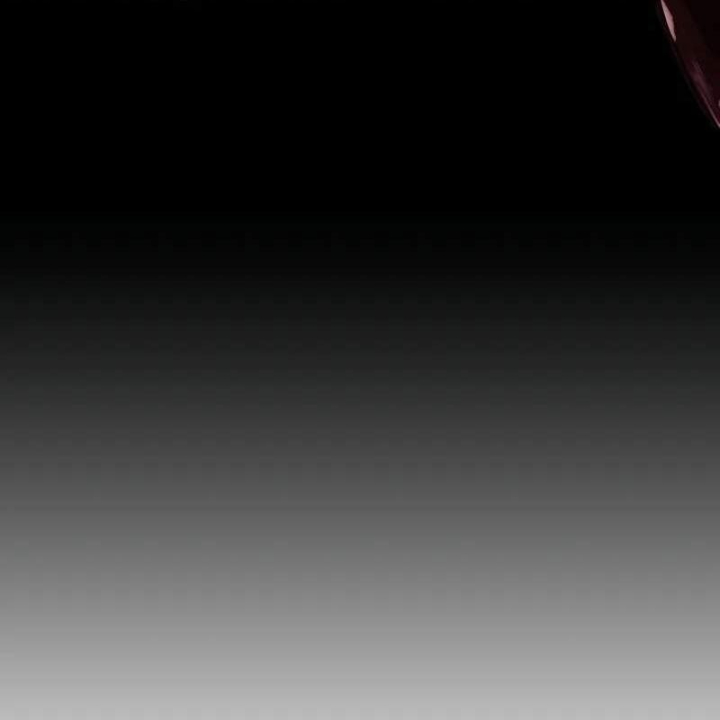 Mạo Hiểm Giả Cuối Cùng Chapter 69 - Trang 2