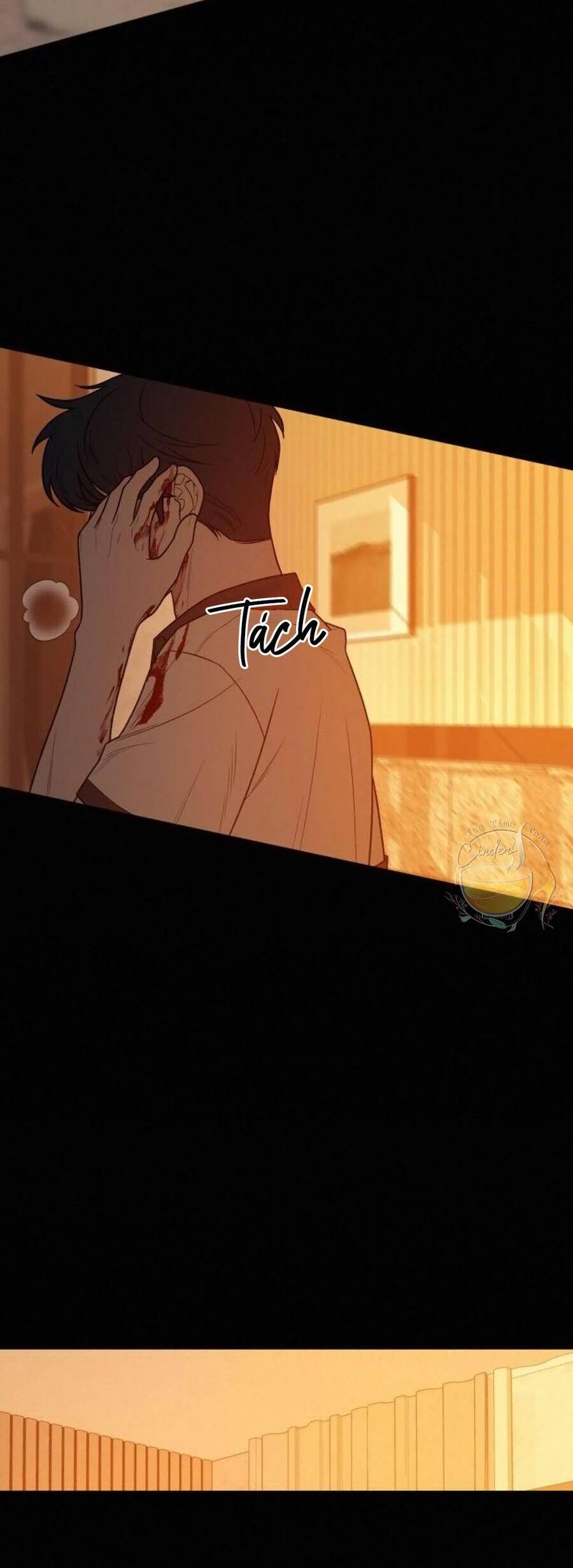Tình Yêu Trong Sáng Chapter 40 - Trang 2