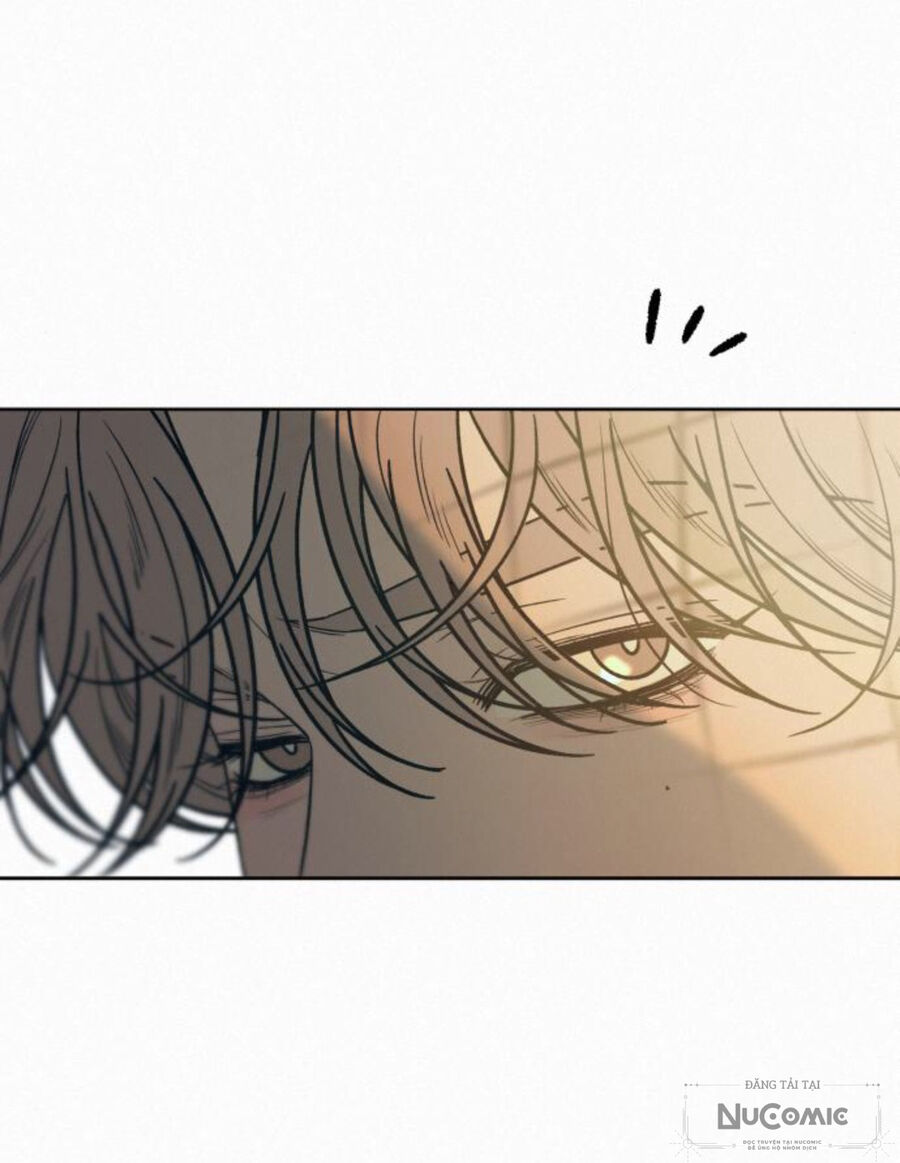 Tình Yêu Trong Sáng Chapter 87 - Trang 2