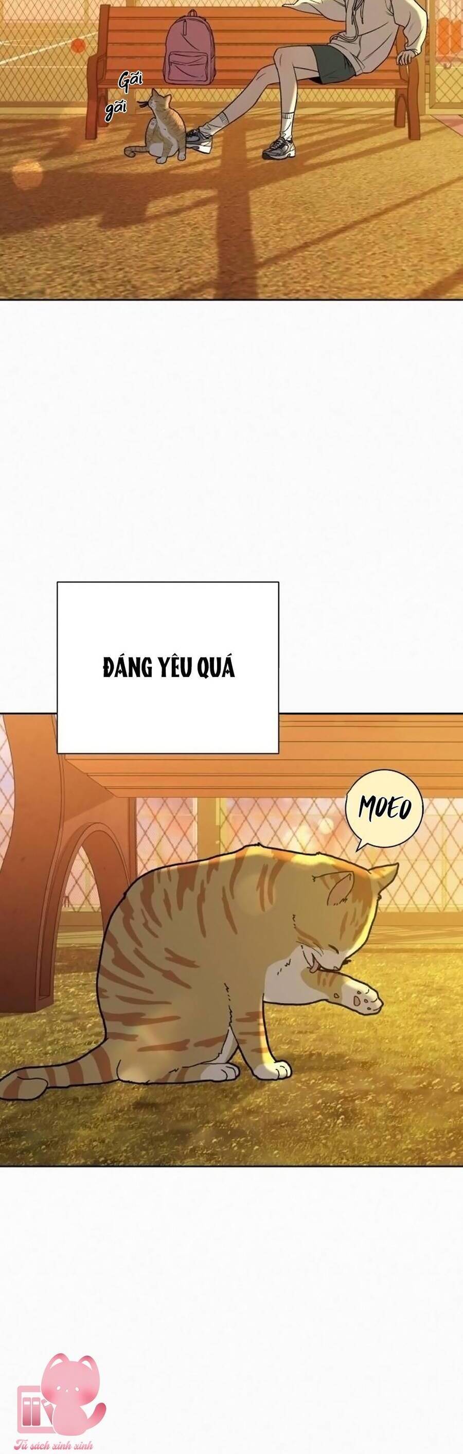 Tình Yêu Trong Sáng Chapter 99 - Trang 2