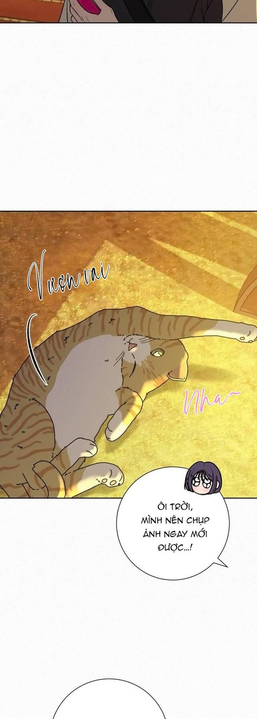 Tình Yêu Trong Sáng Chapter 99 - Trang 2