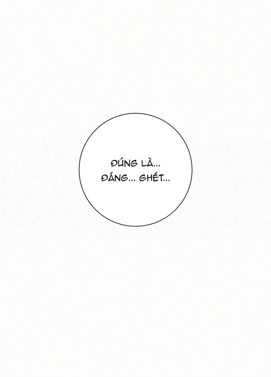Tình Yêu Trong Sáng Chapter 110 - Trang 2