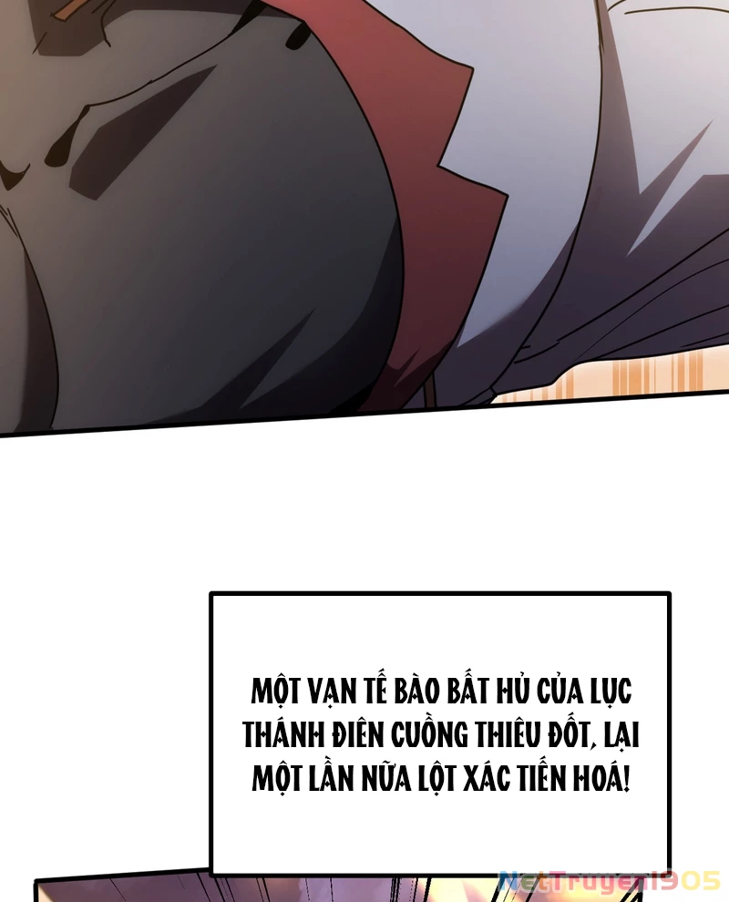 Cao Võ: Hạ Cánh Đến Một Vạn Năm Sau Chapter 241 - Trang 2