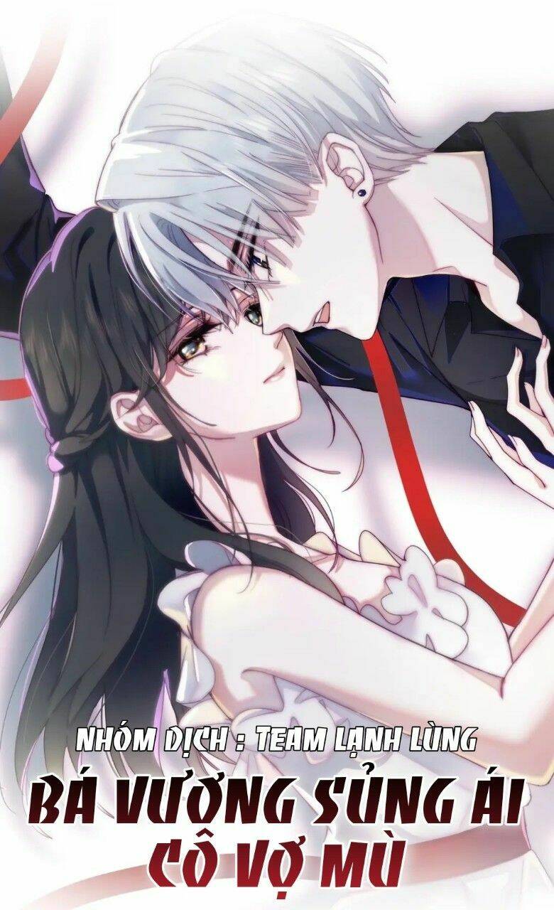 Bá Vương Sủng Ái Cô Vợ Mù Chapter 2 - Trang 2