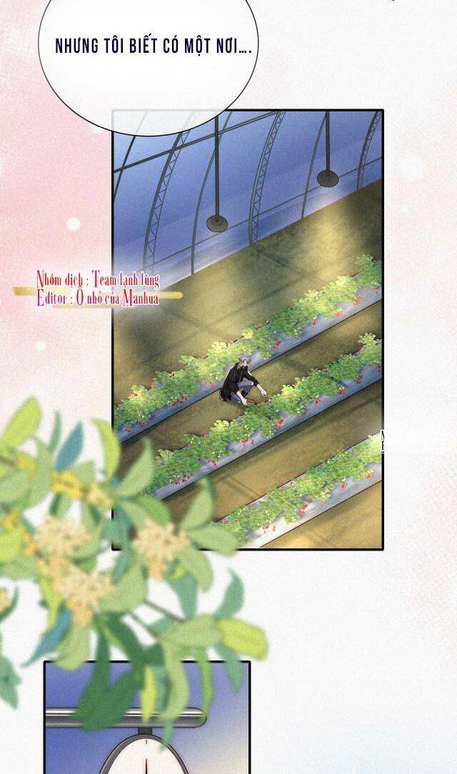 Bá Vương Sủng Ái Cô Vợ Mù Chapter 40 - Trang 2