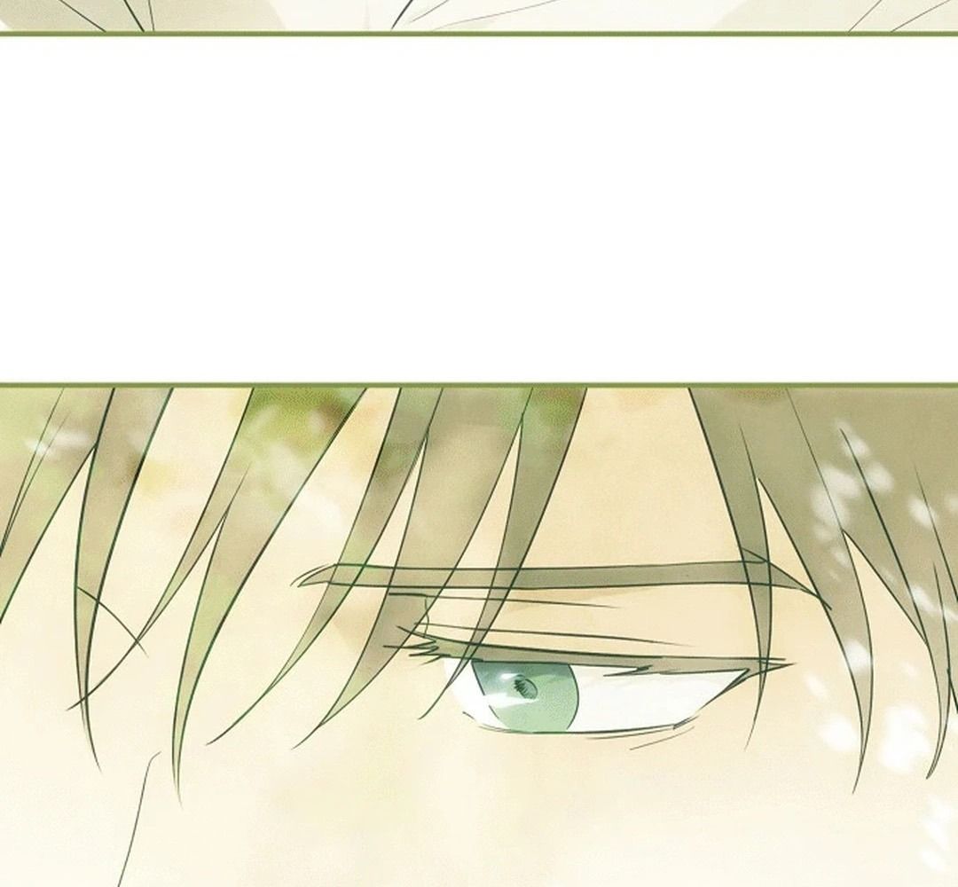 Bị Che Khuất Bởi Mặt Trời Lặn Chapter 188 - Trang 2